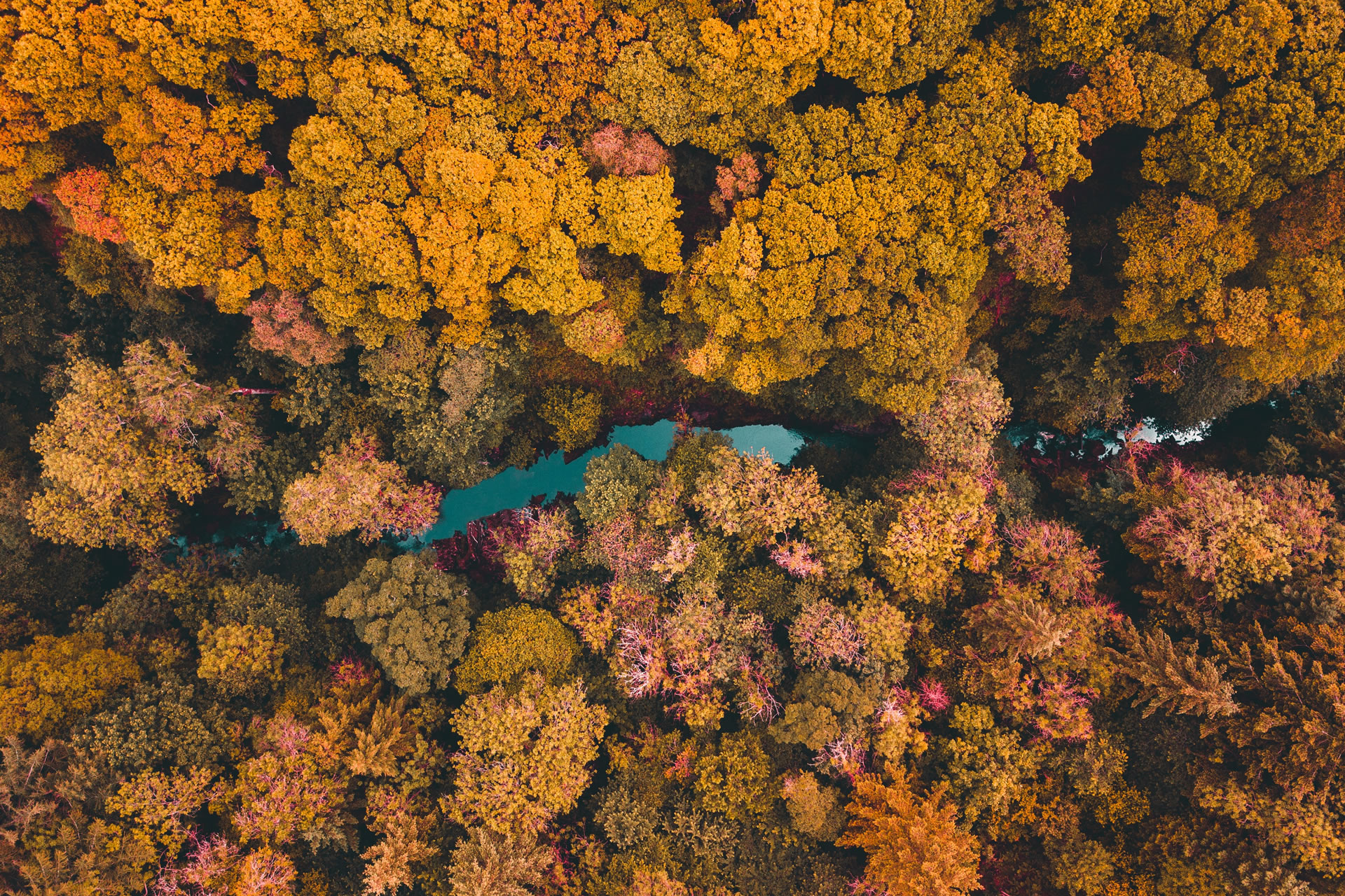 Story of the Hebrides /Lewis Awakening 1949 – Jessica Meldrum