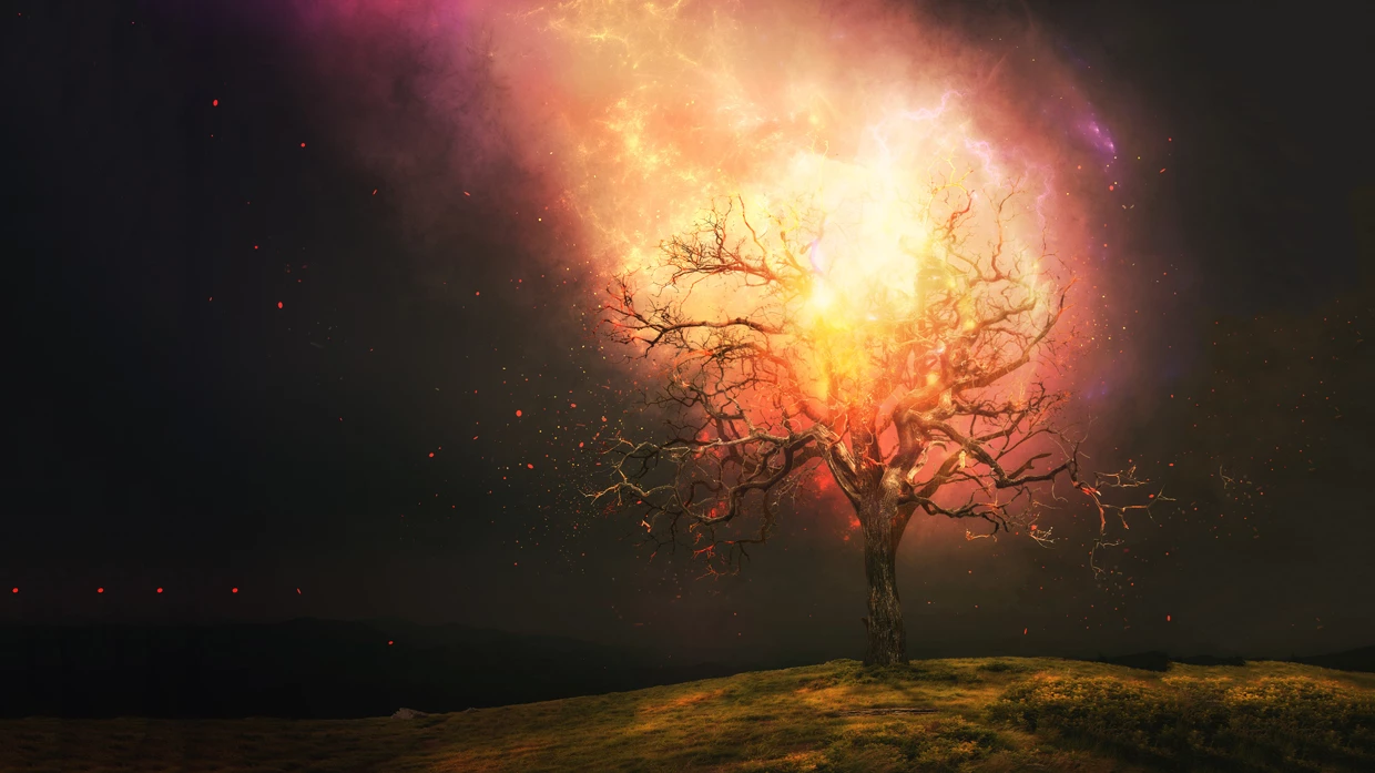 TS117 – The Burning Bush