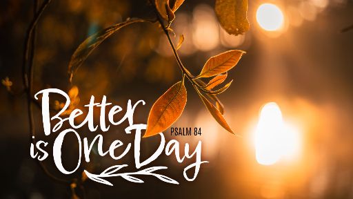 TS135 – One day in your courts