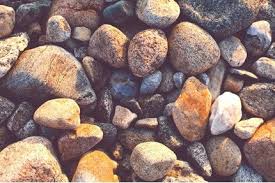 TS272 – Before the stones cry out